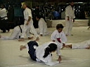 IMGP2088.JPG