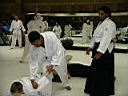 TN_IMGP2100.JPG
