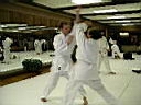 TN_IMGP2107.JPG