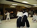 TN_IMGP2155.JPG